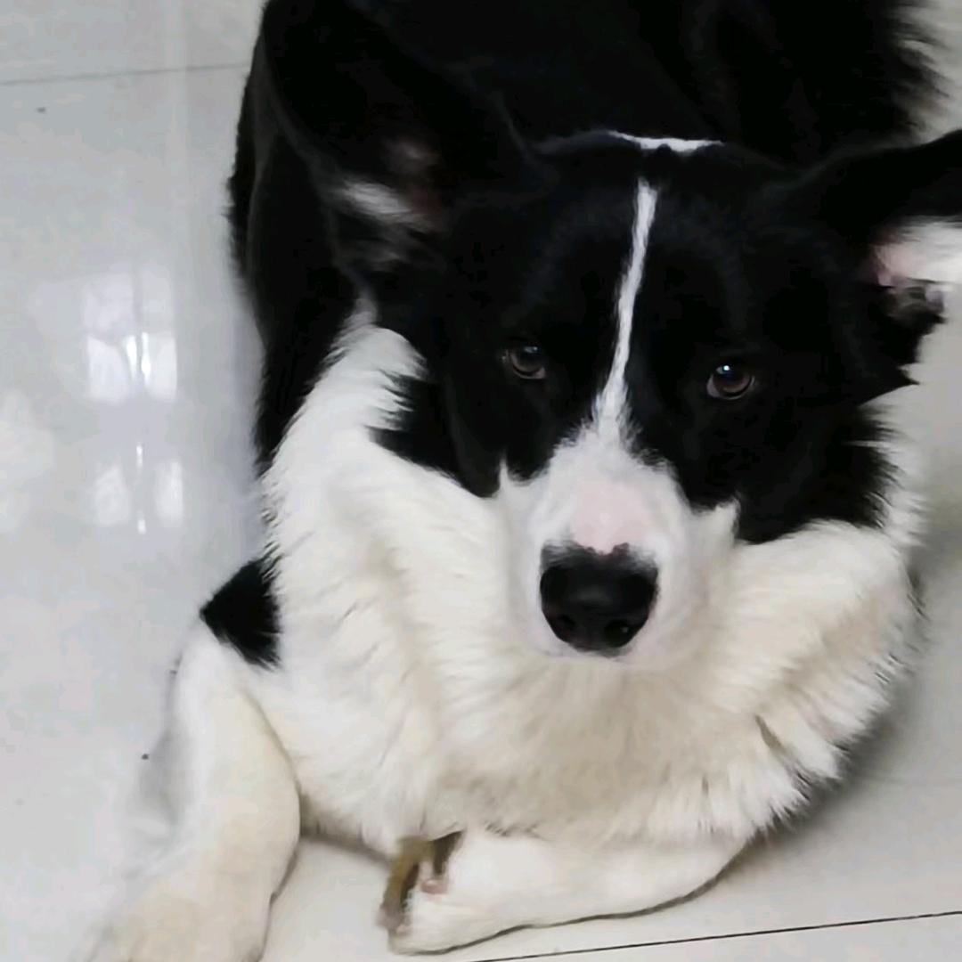 浩尚游泳教练（龙湖店）