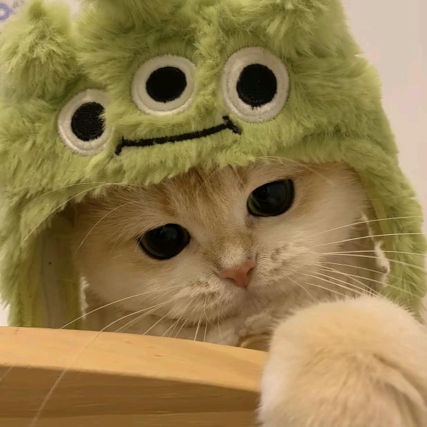 观止
