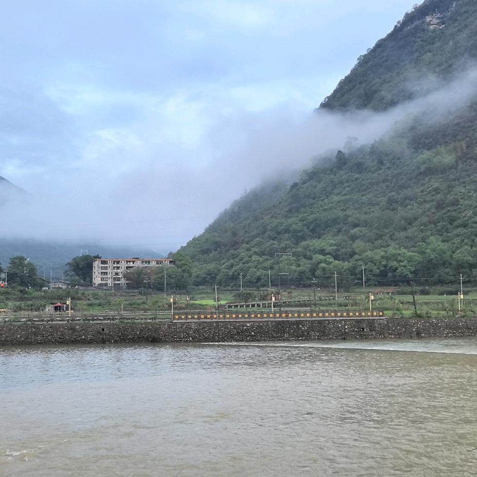 枫声心雨
