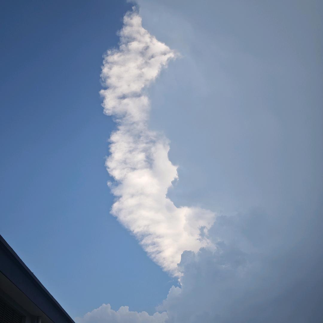 ㎜