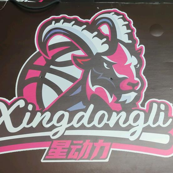 星动力羽球中心