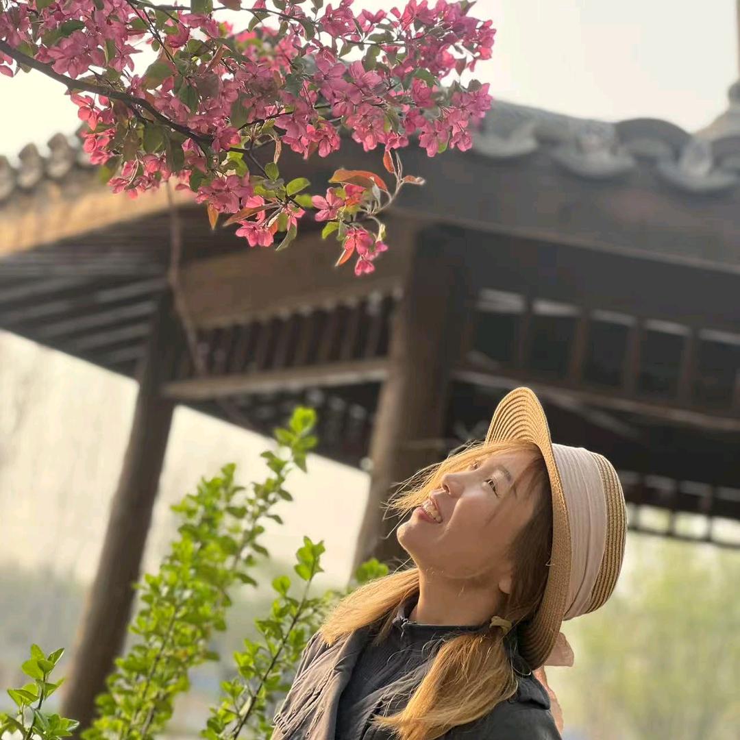 我在乡村有小院