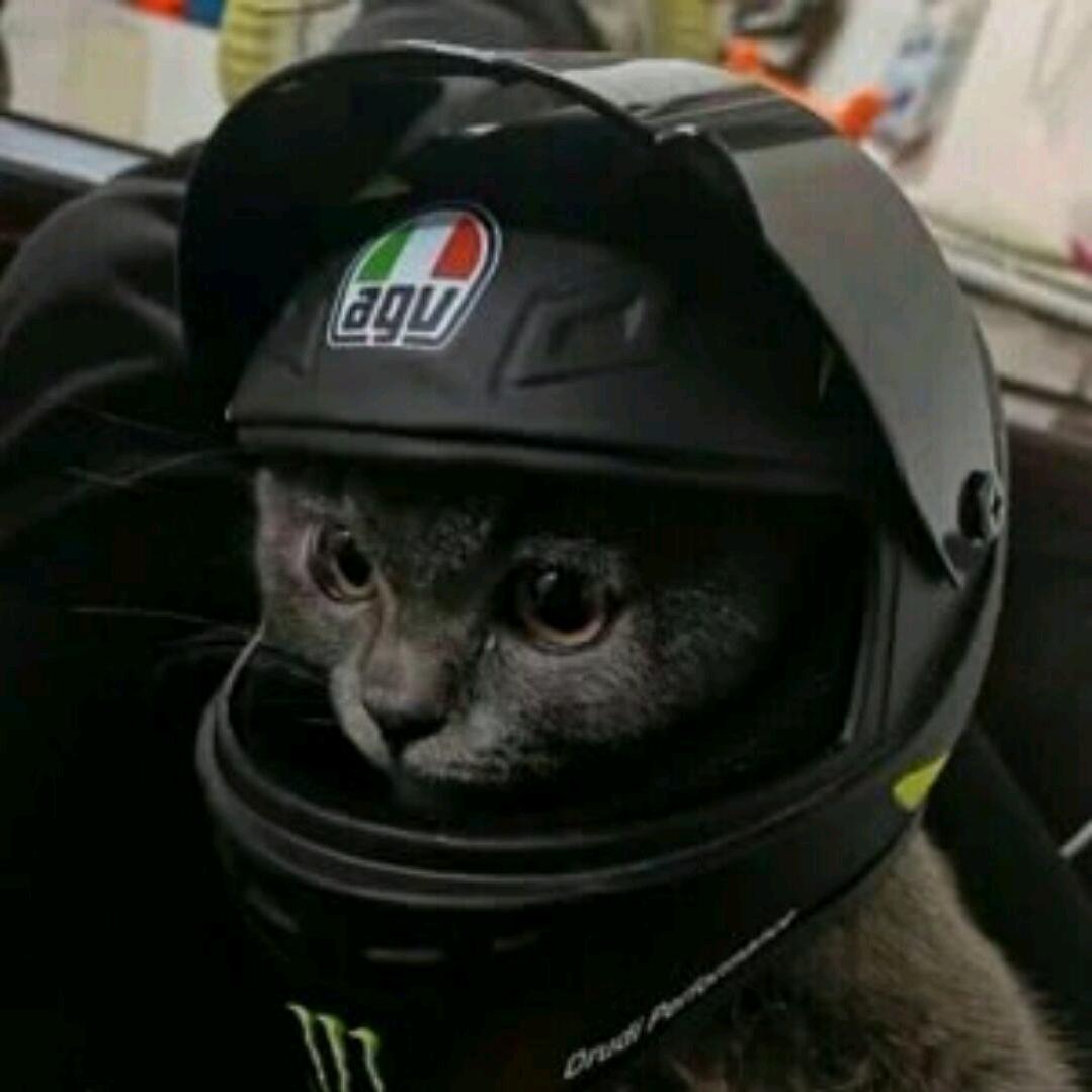 枫若轻云