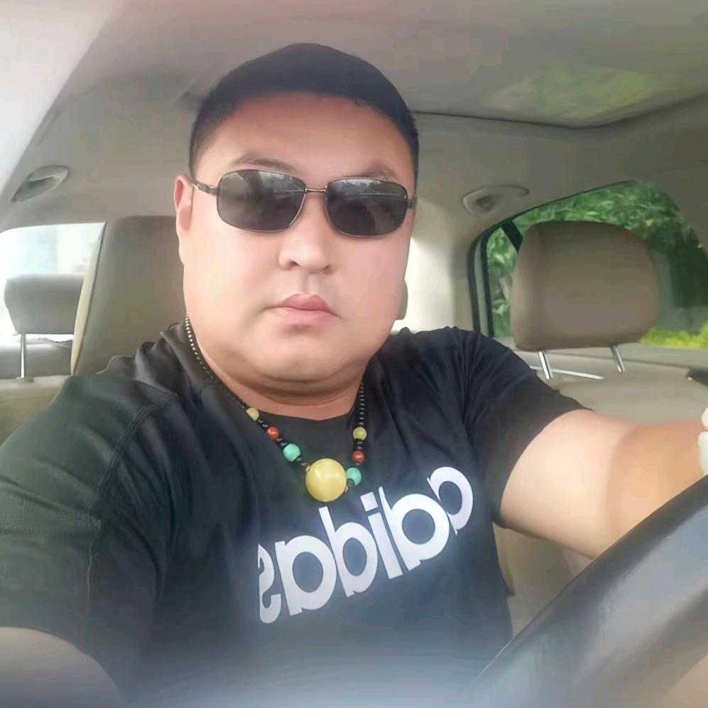 孤独的狼