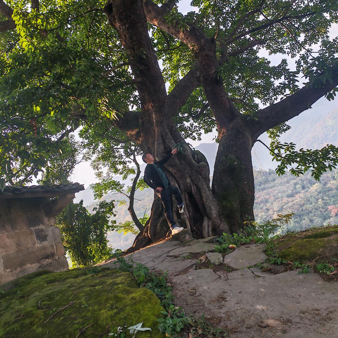 转眼已过半生🎸弦动我心。