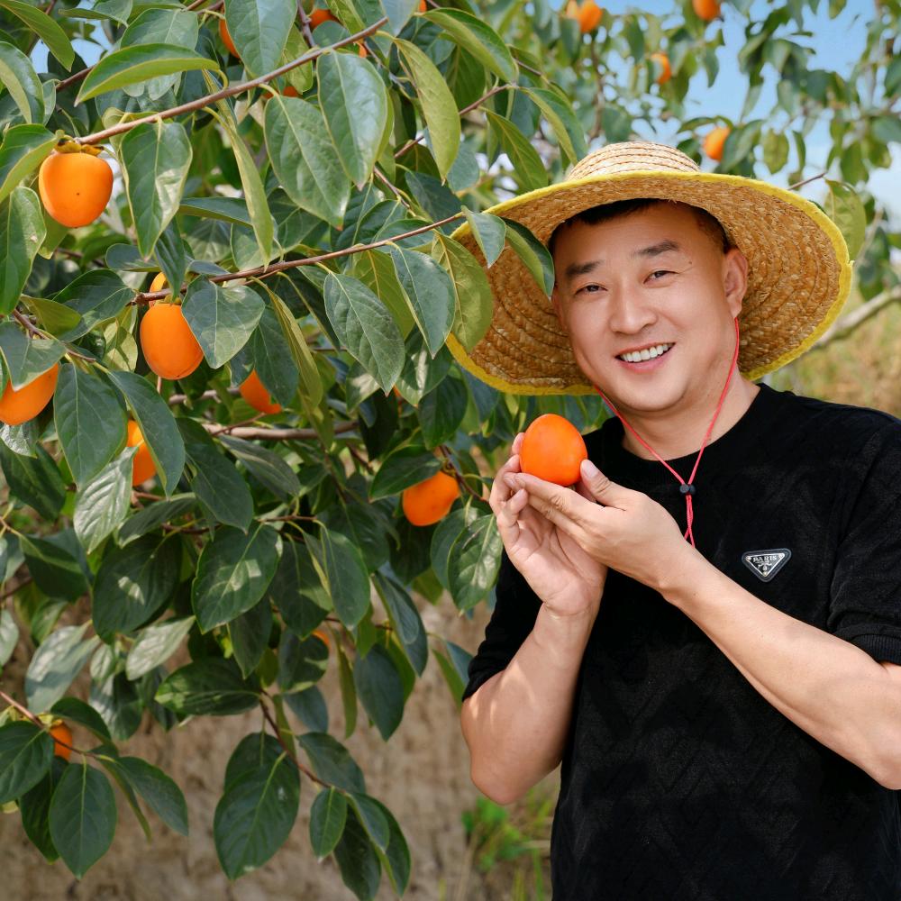街子杰哥