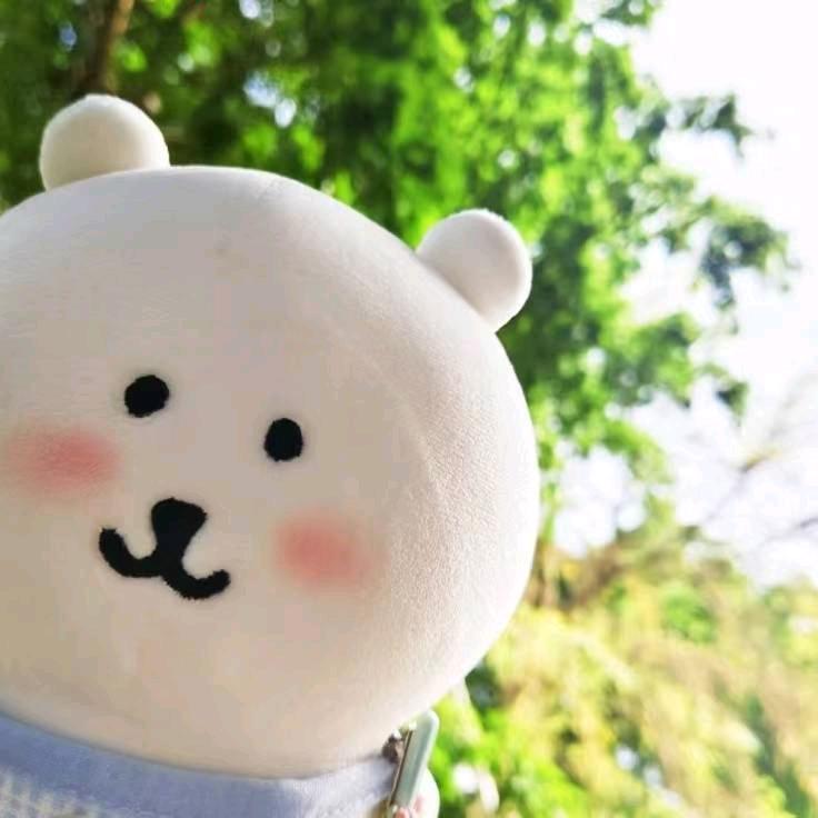 珊妹