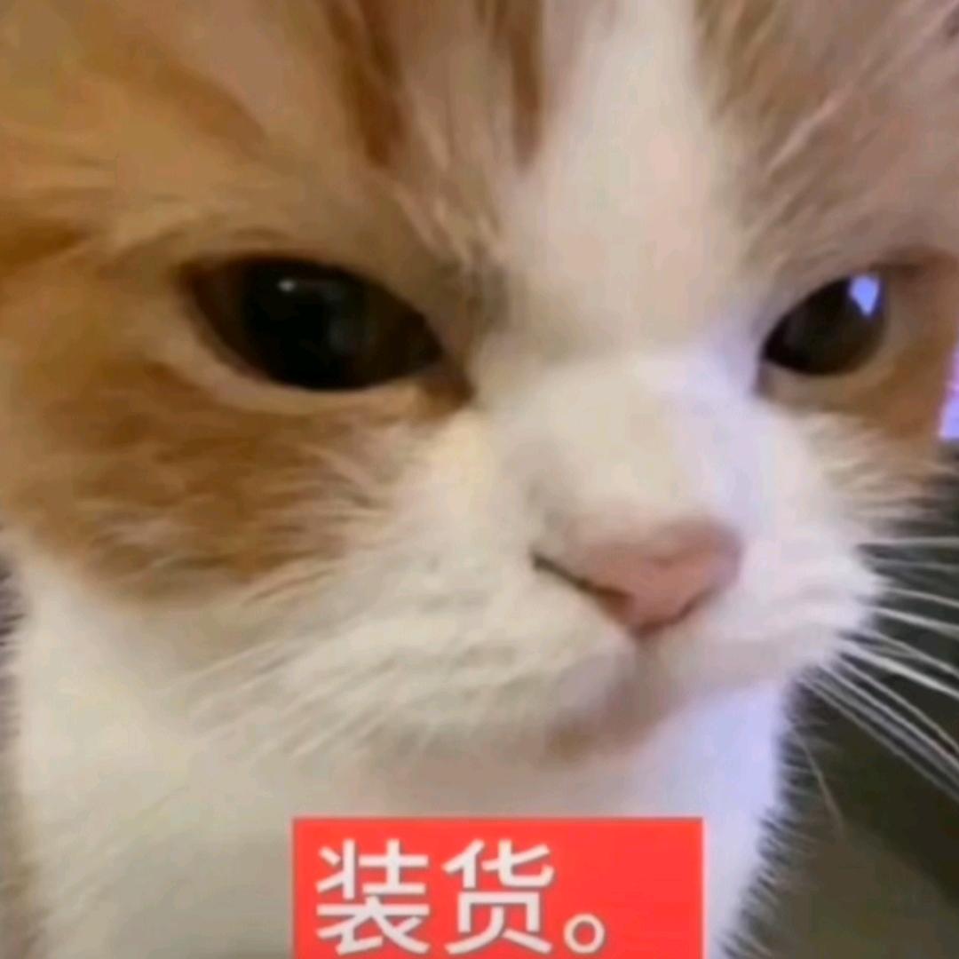 瘪瘪悦