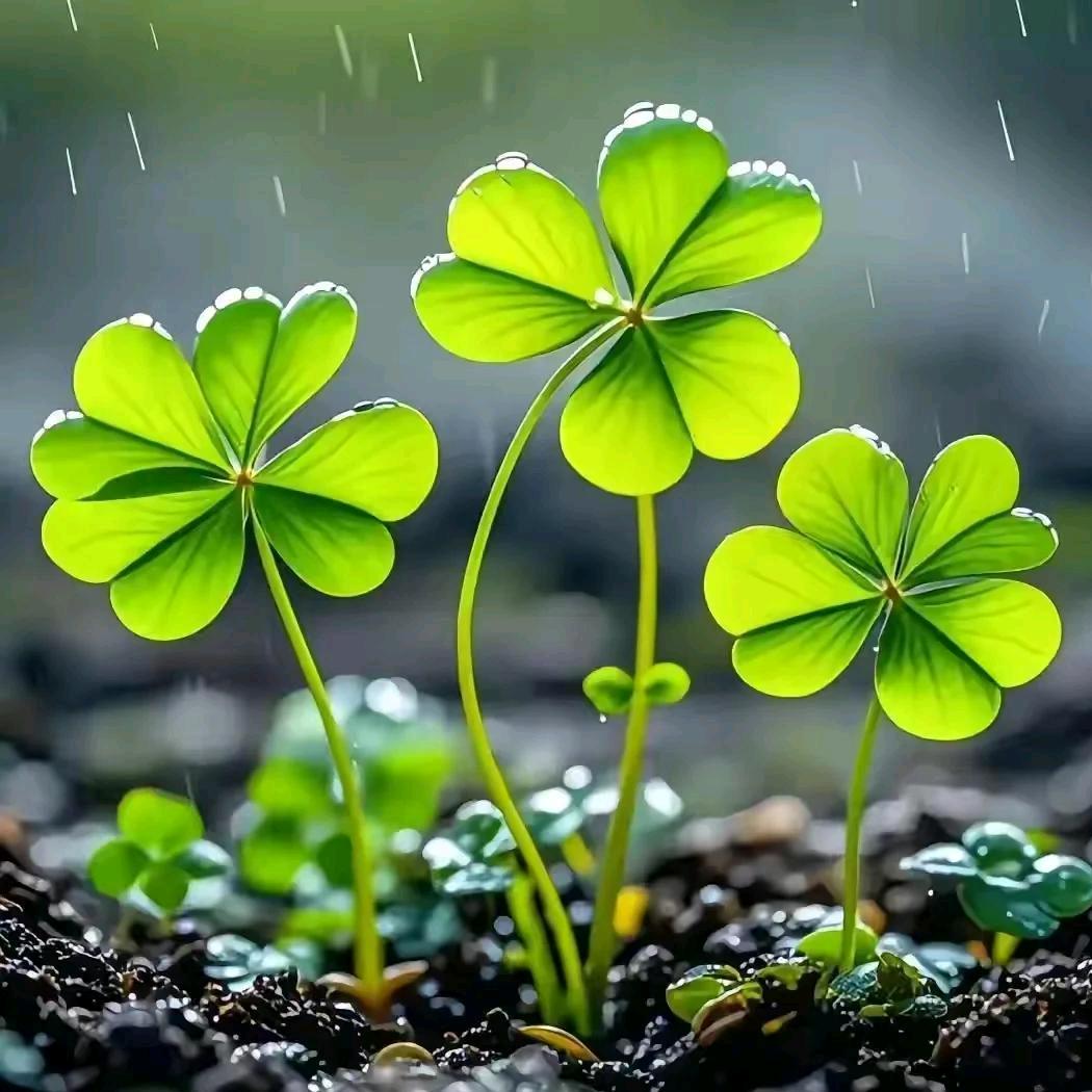 ღ᭄ꦿ让心꧔ꦿ᭄归零ღ᭄