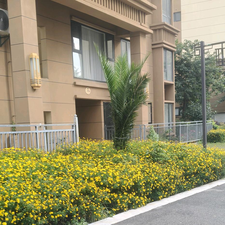 会泽金之家房产