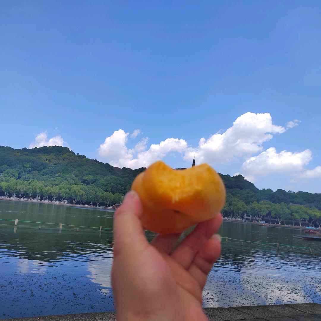 蝎子