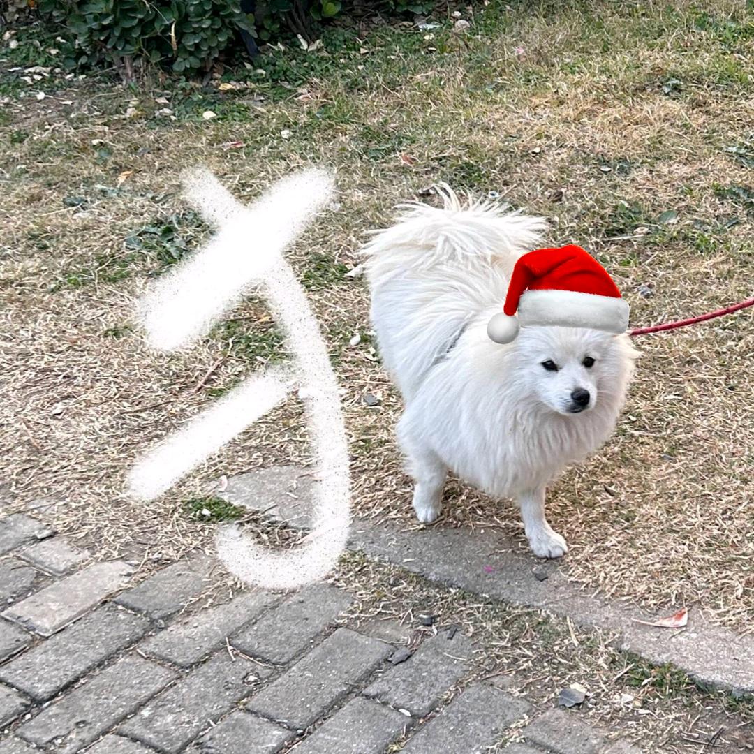 刘刘刘