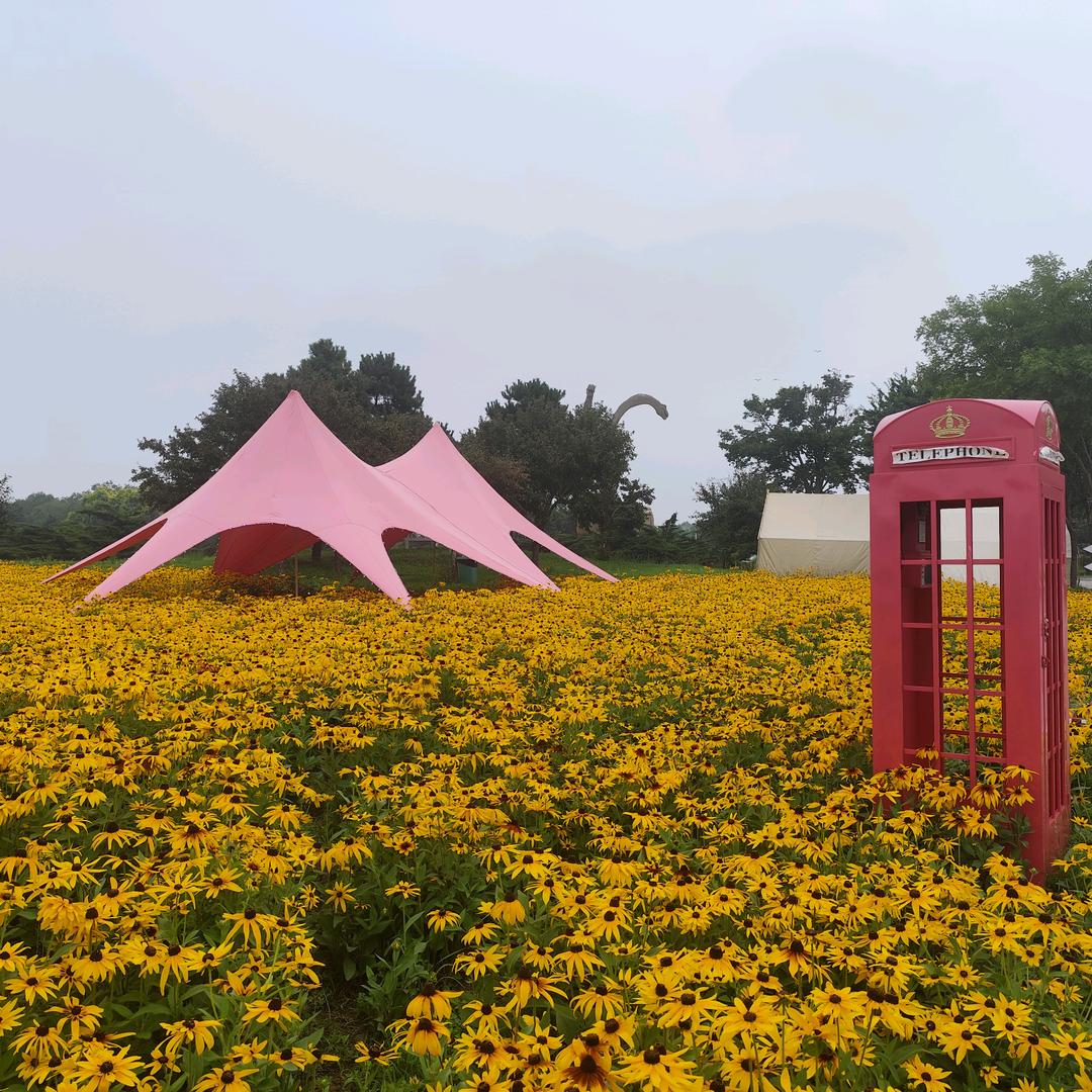 锦州世博园大师兄露营烧烤自拍基地