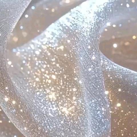 穿戴甲的小李