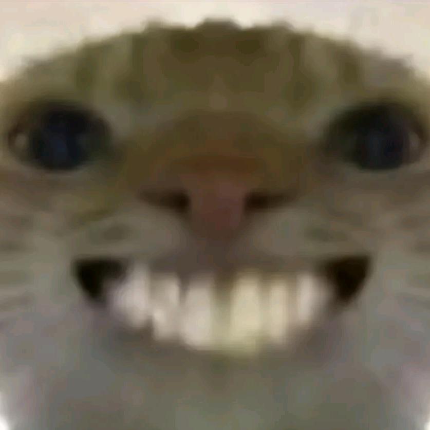 三角洲.啾依O(∩_∩)O