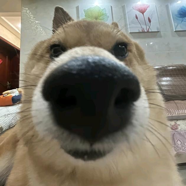 小余还不够努力～