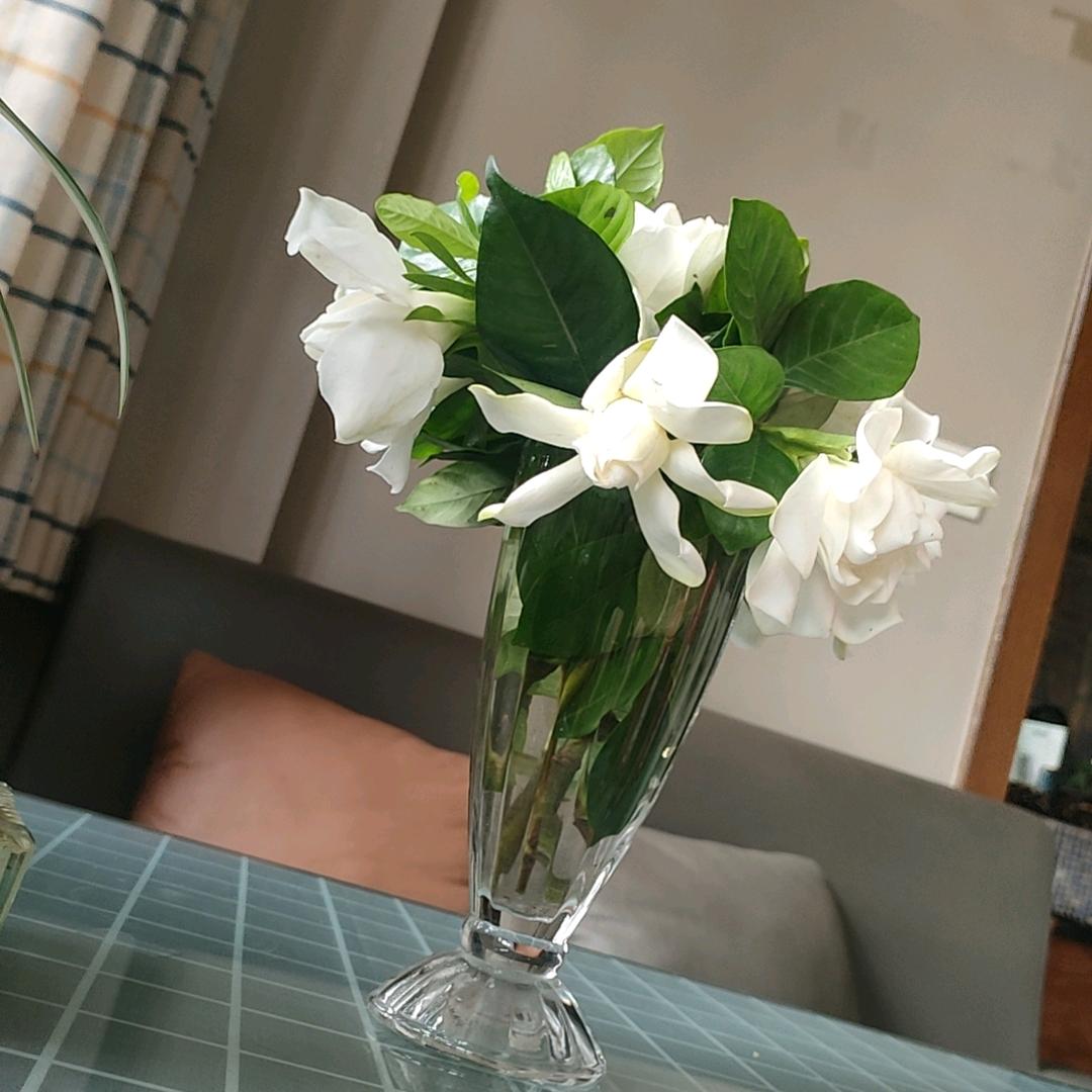 想家