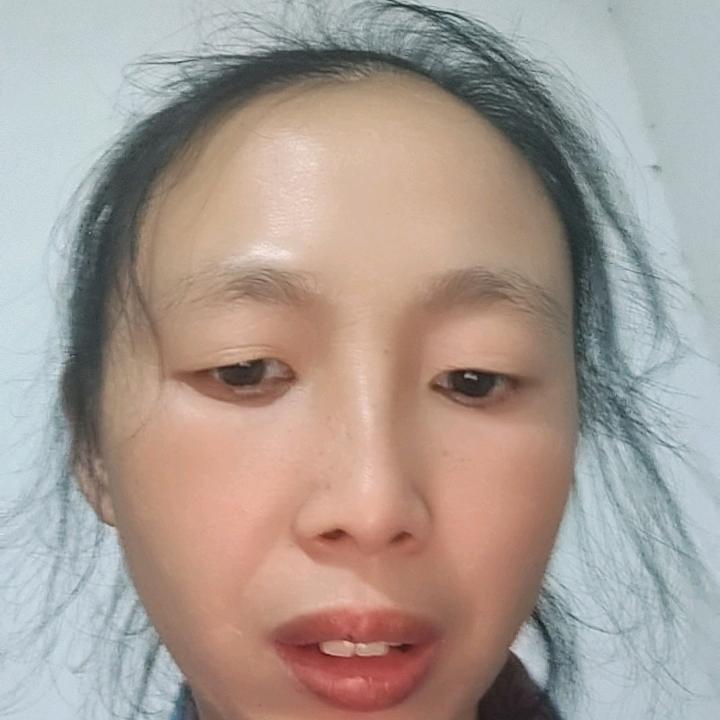 小燕子