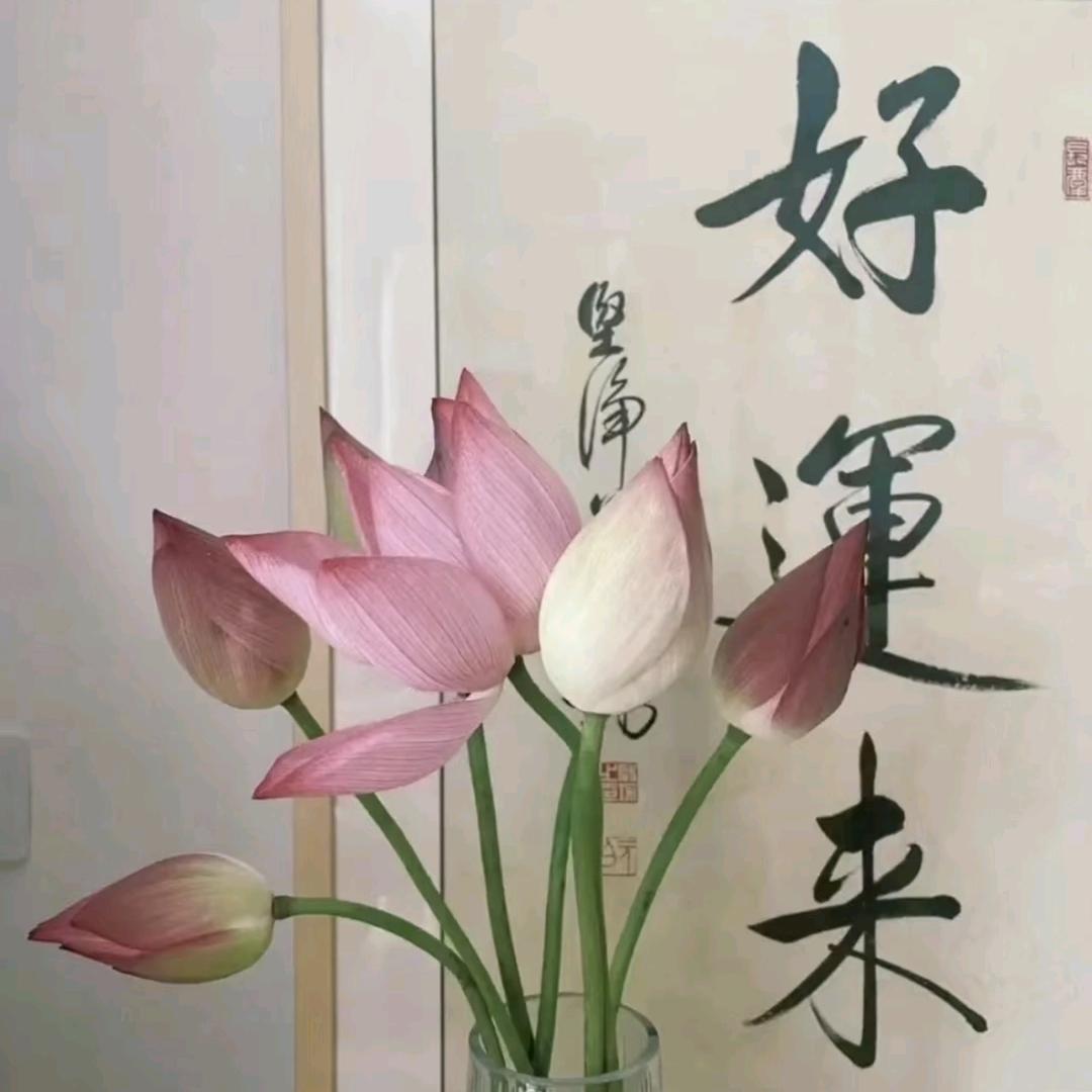 乐客百货