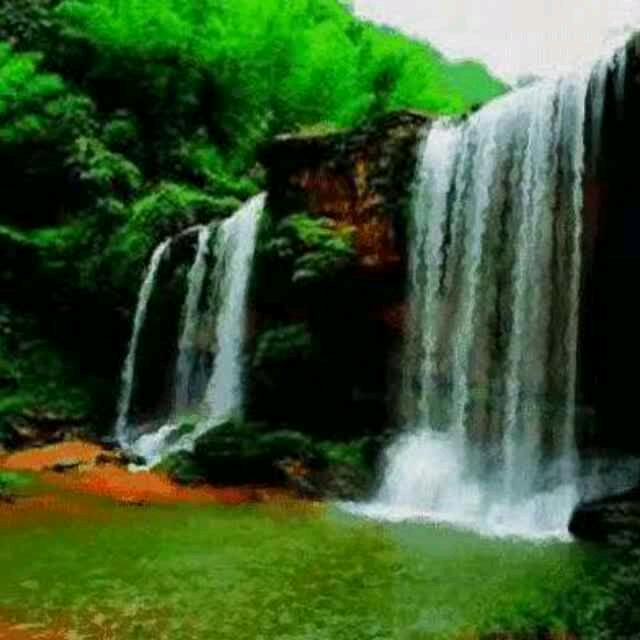 河南人在山东
