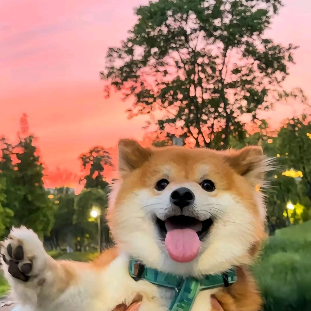 靓仔