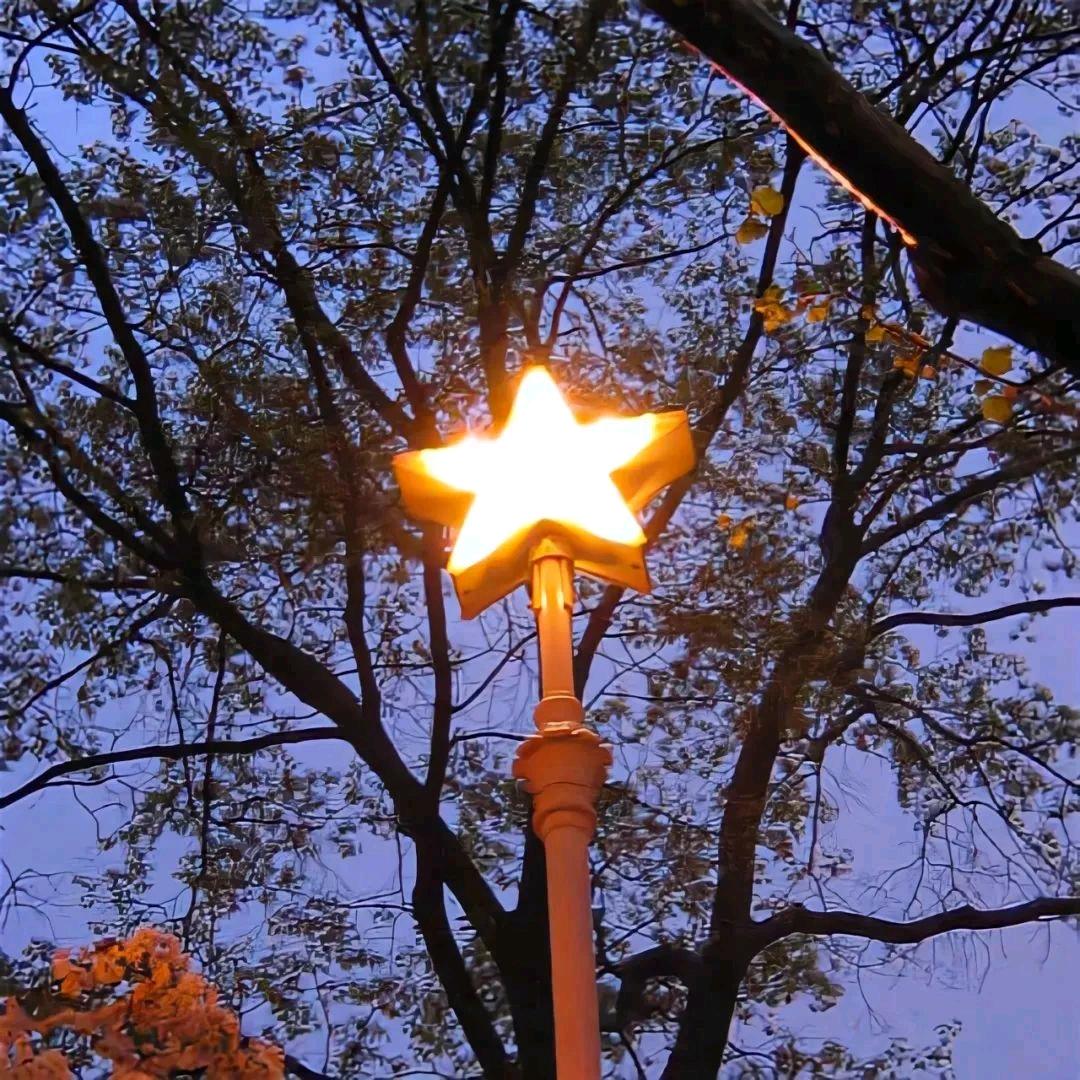 Star_777 ༻