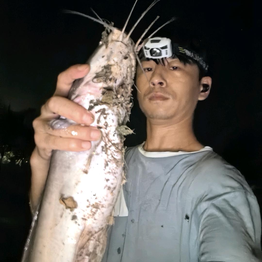 王少阳