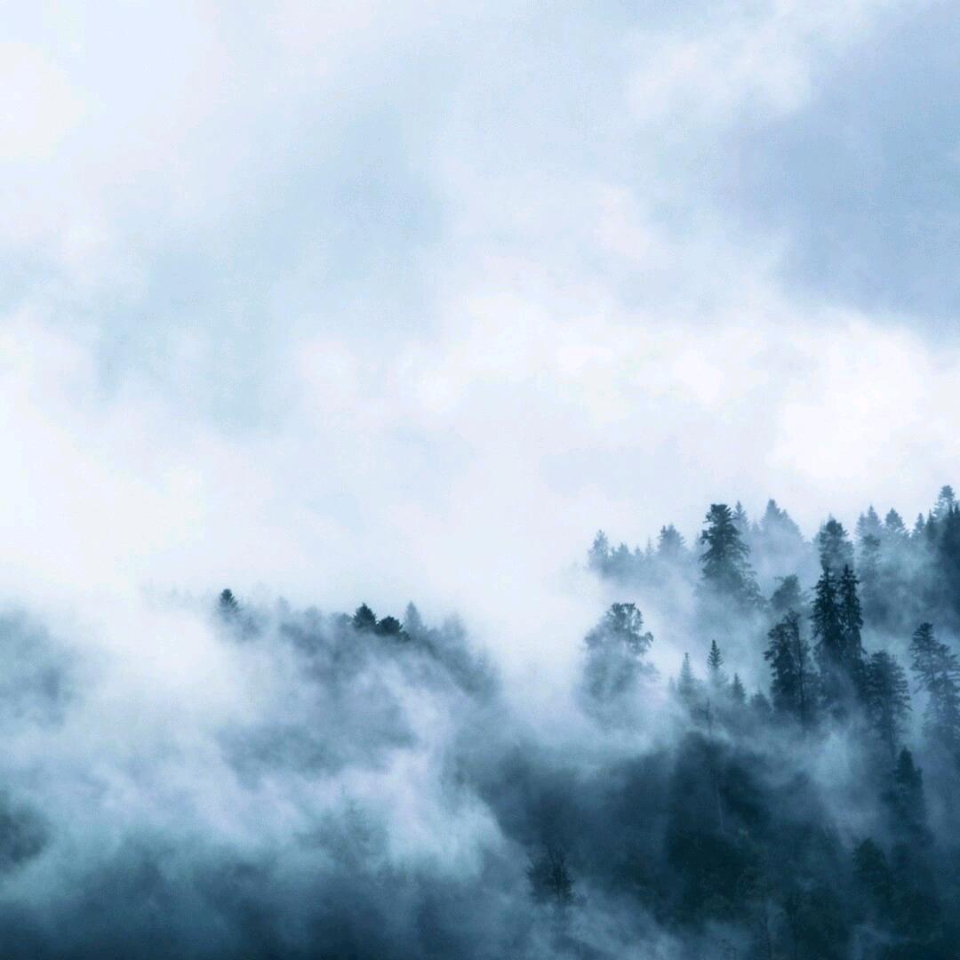 萍水相逢