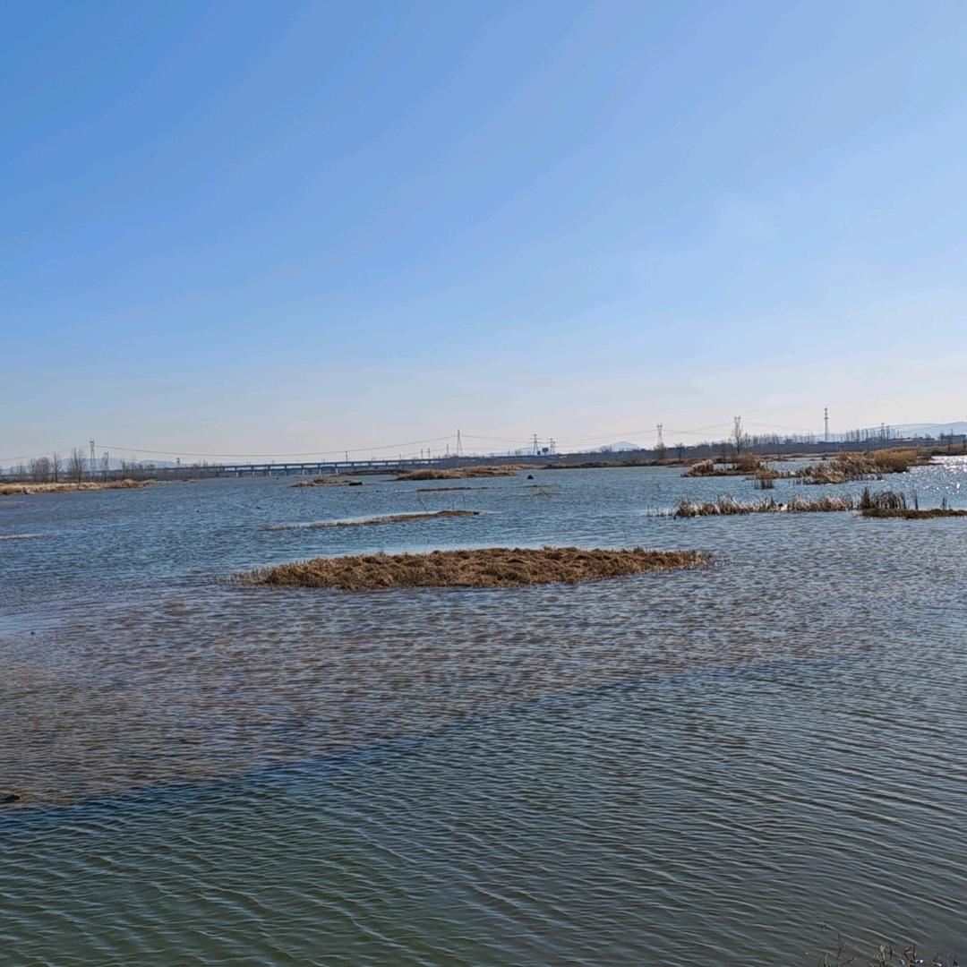 5年一贯王老师(郑州电力职业学院)
