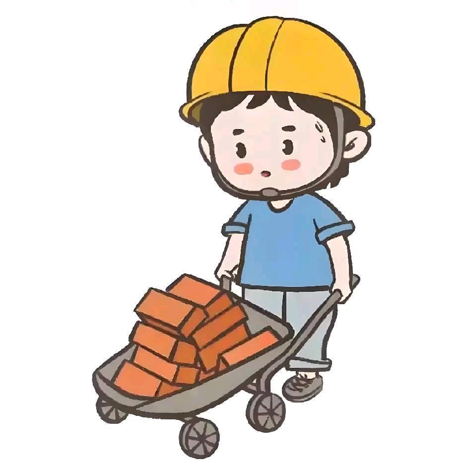 爱搬砖的小胡