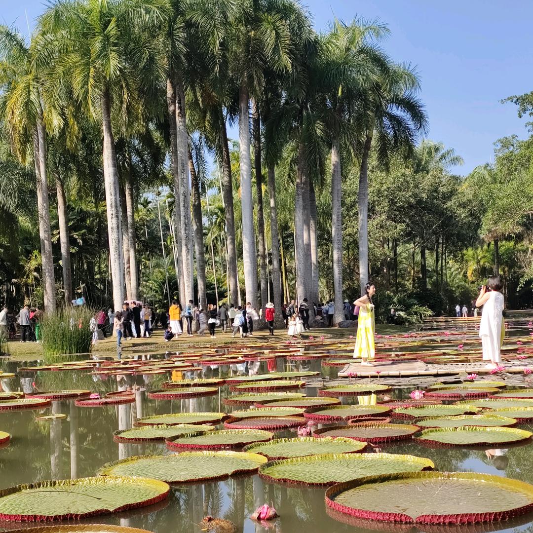 广东品牌瓷砖销售，鸿兴建筑工程。