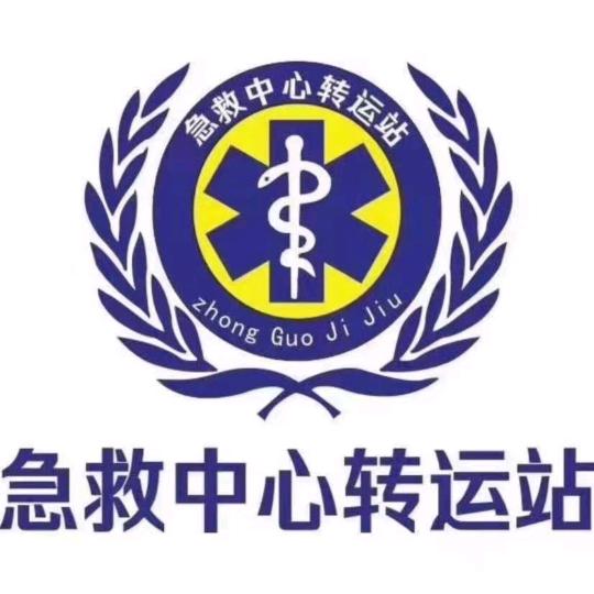 重症护送