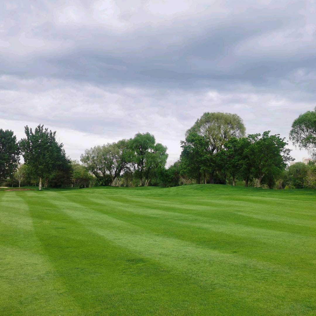 （凡事只求半称心）