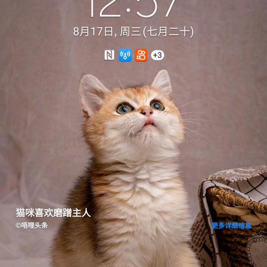 清風