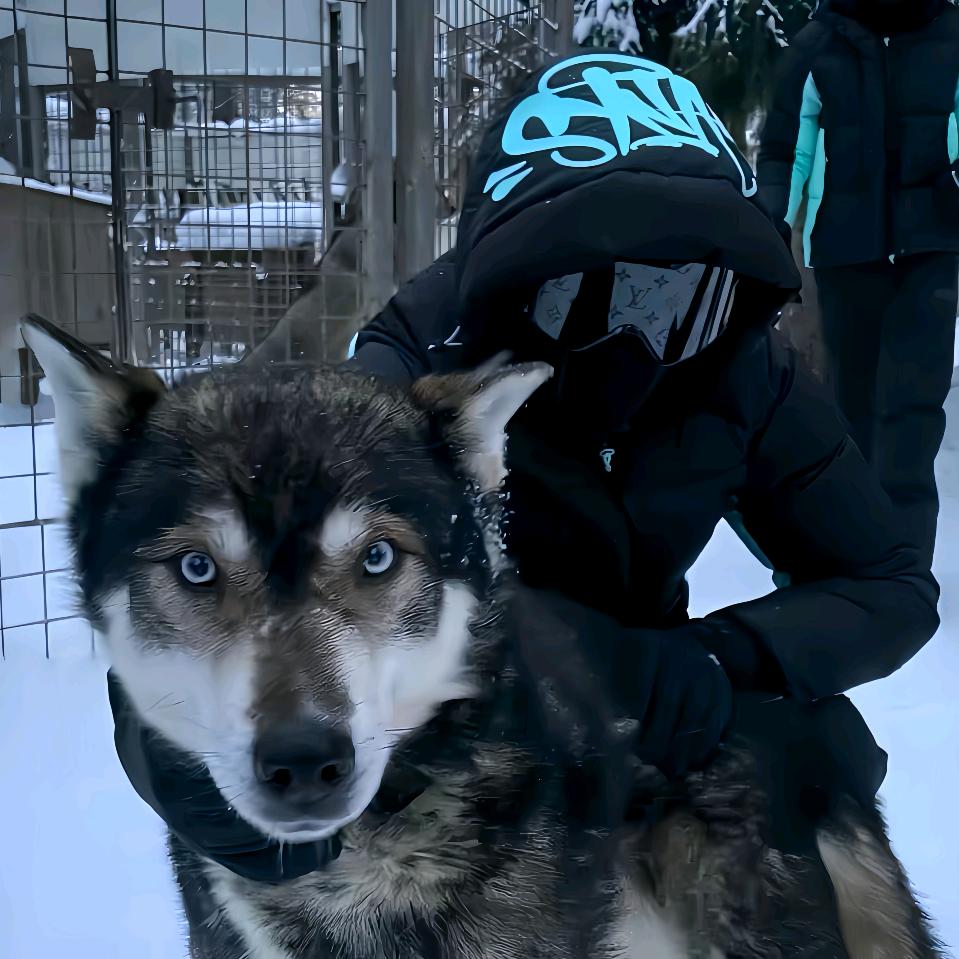 补开心（娶图看主页）