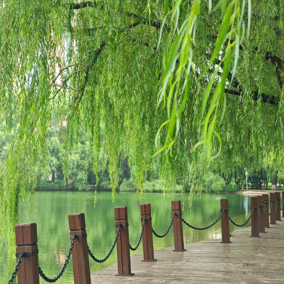 约定幸福