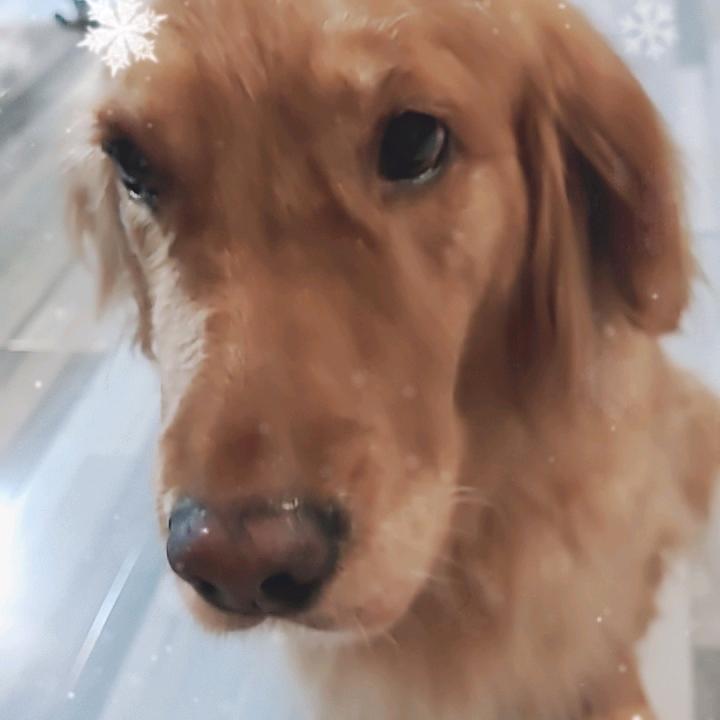 暴富暴美暴帅头像