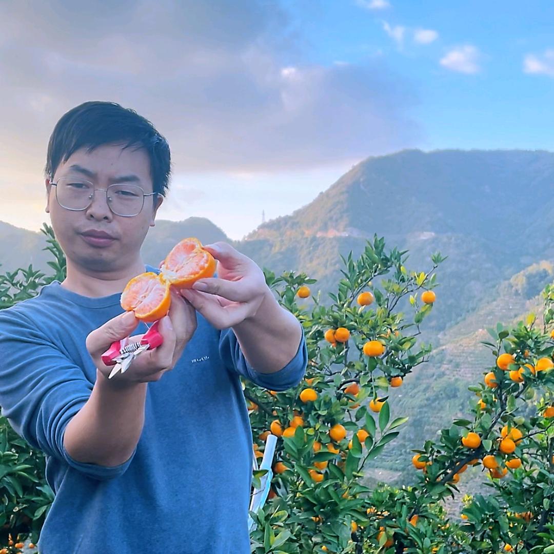 老芦-涌泉高山蜜橘-『福农记』采摘园