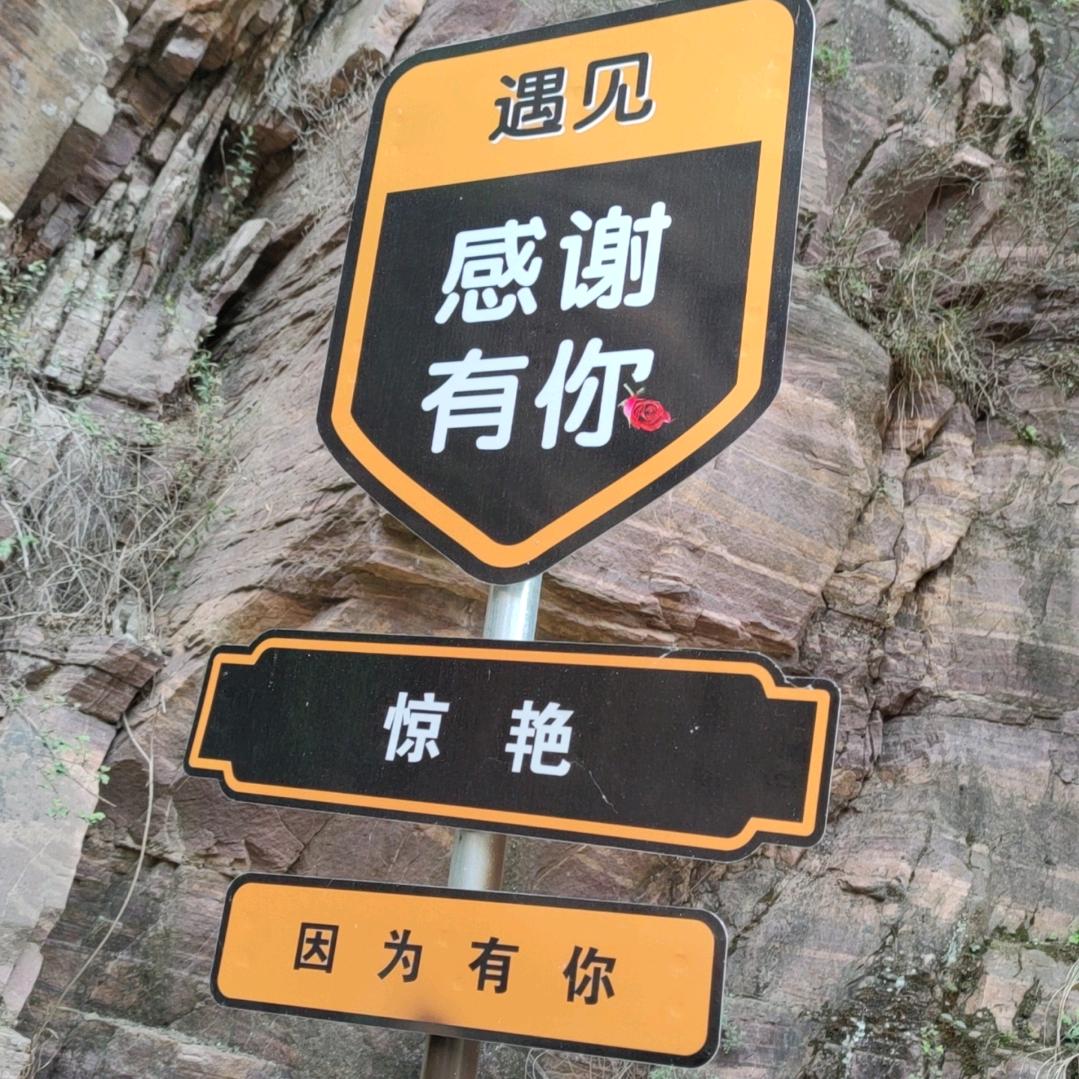 顺心如意