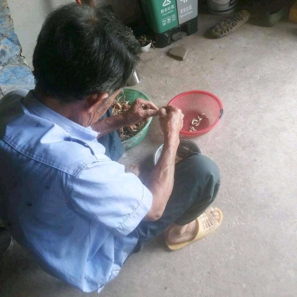 爷爷在玩游戏