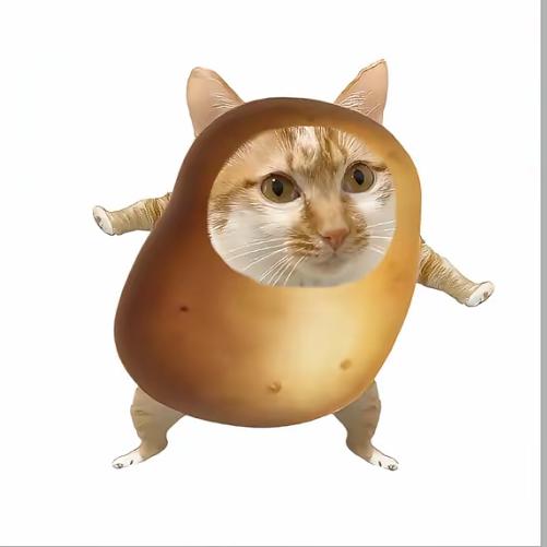 吃土豆长大的哈基米