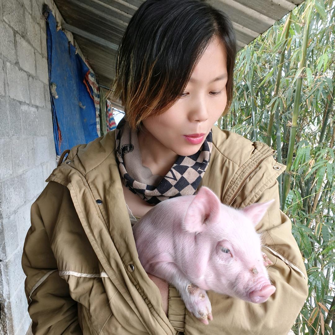 养猪妹小向
