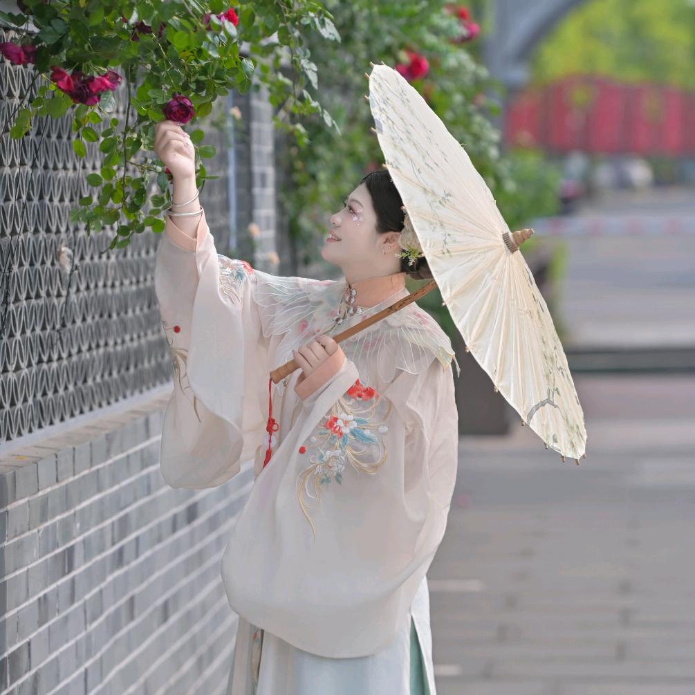 小梦梦