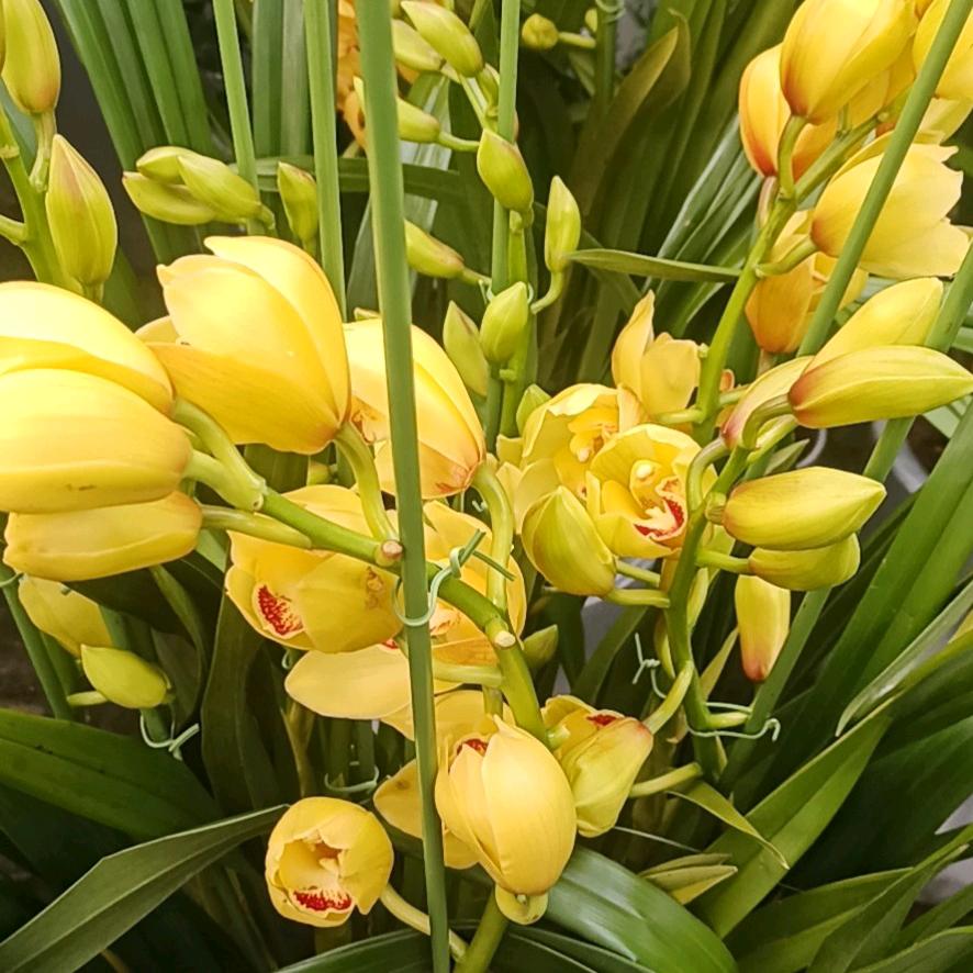 无聊请你关注我！