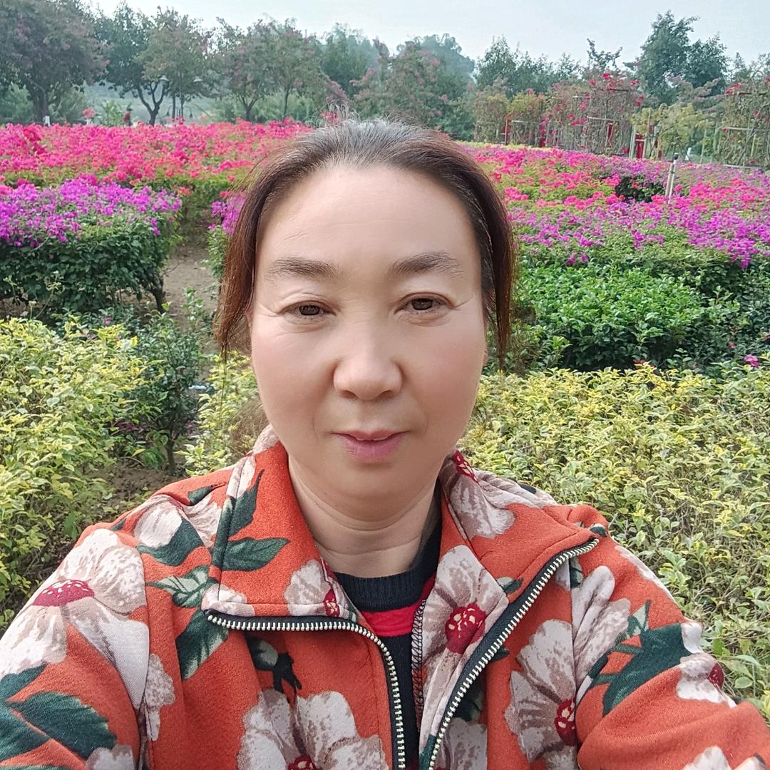 元宝妈