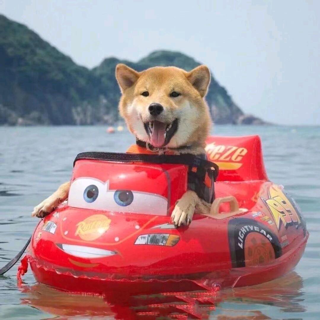 ᅠᅠᅠ
