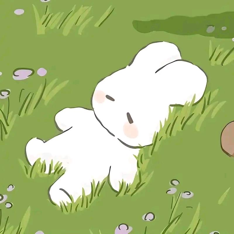淡斑探索笔记