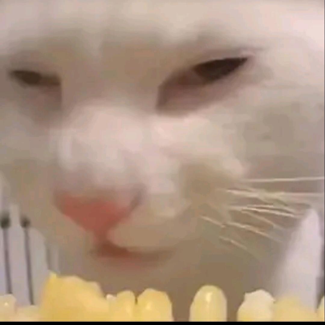 Xn.00_舌果