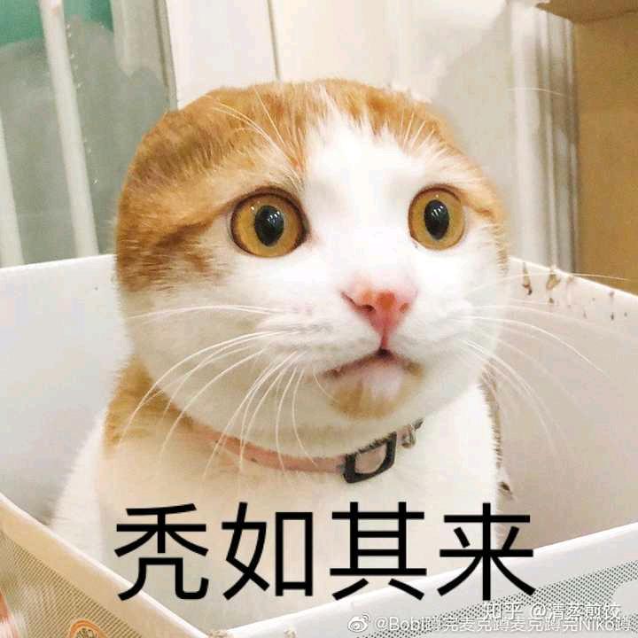 土拨鼠123