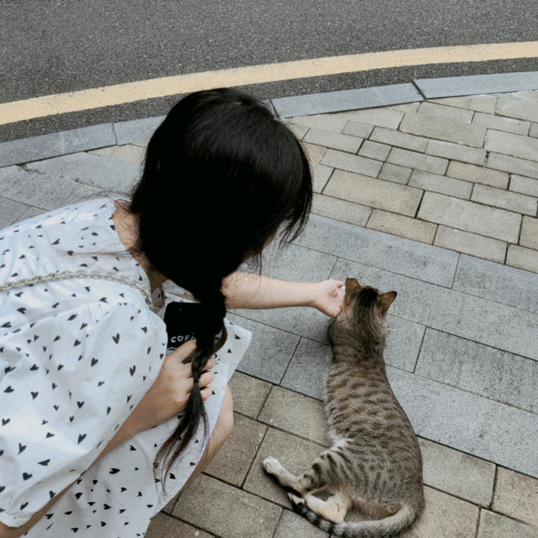 早睡早起酥丸盒